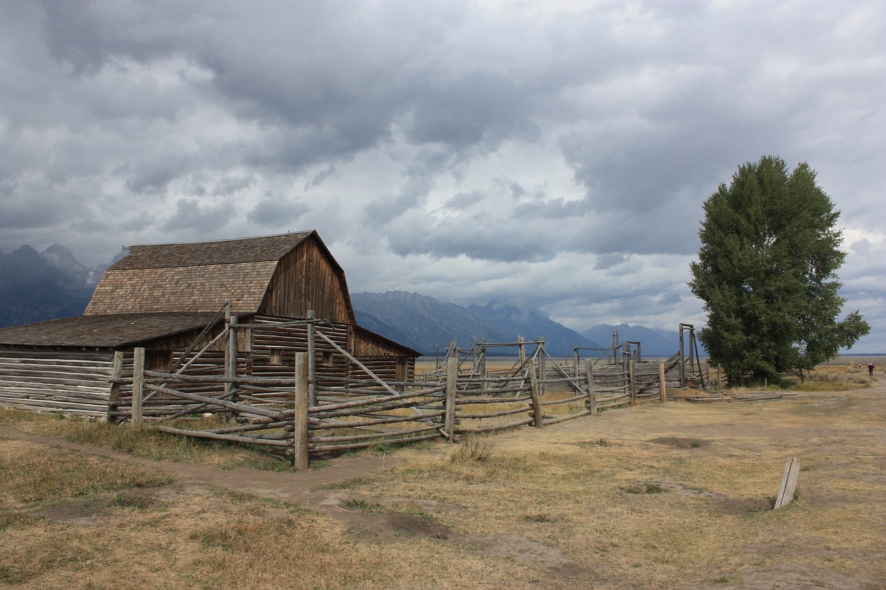 The Top Scenic Viewpoints in Grand Teton National Park